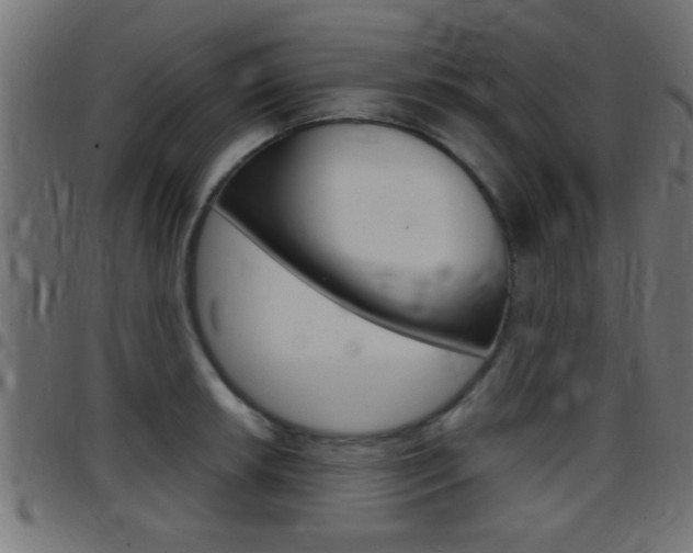 X0000097781042200803070909