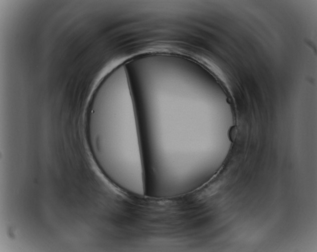 X0000097781045200803070909