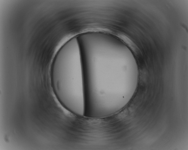 X0000097781046200803070909