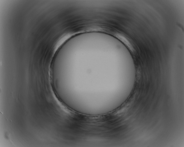 X0000097781047200803070909