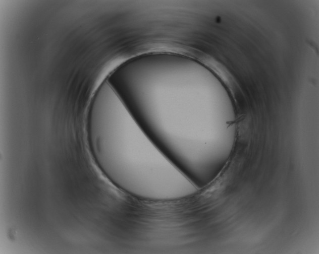 X0000097781048200803070909