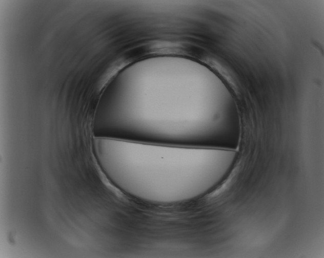 X0000097781049200803070909