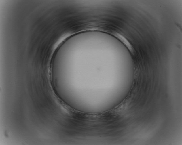 X0000097781051200803070909