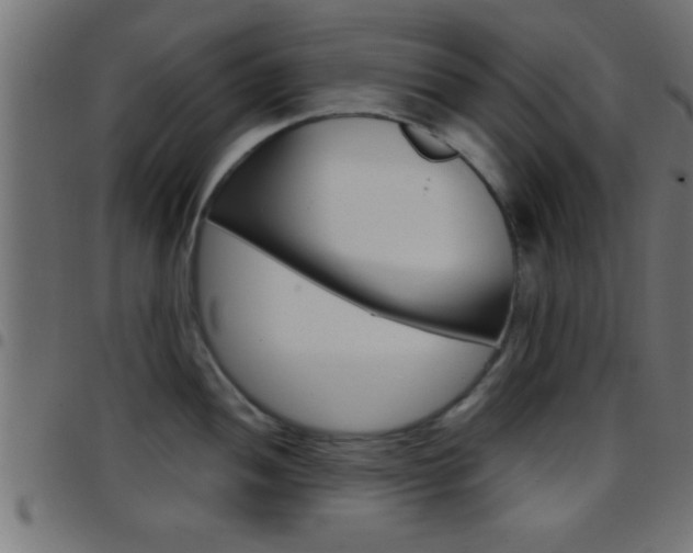 X0000097781052200803070909