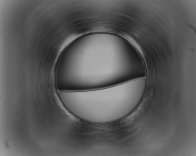 X0000097781053200803070909