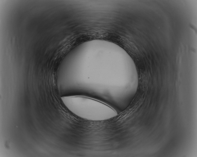 X0000097781058200803070908