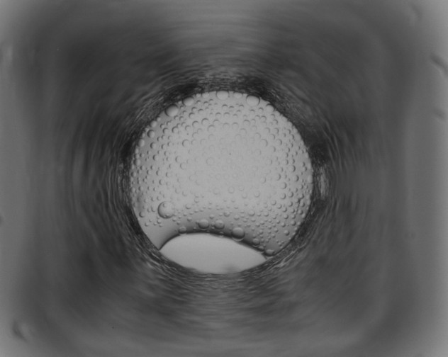 X0000097781059200803070908