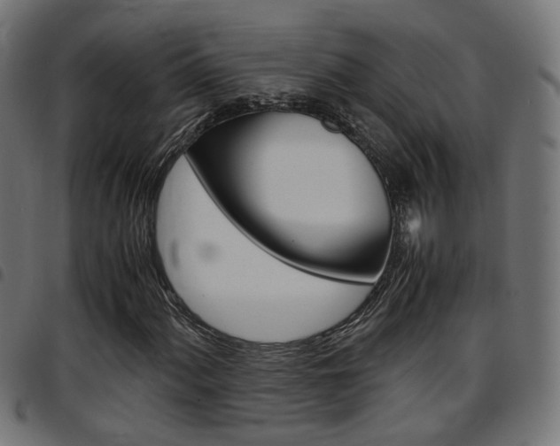 X0000097781060200803070908