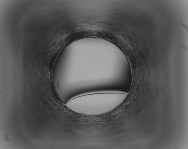 X0000097781061200803070908