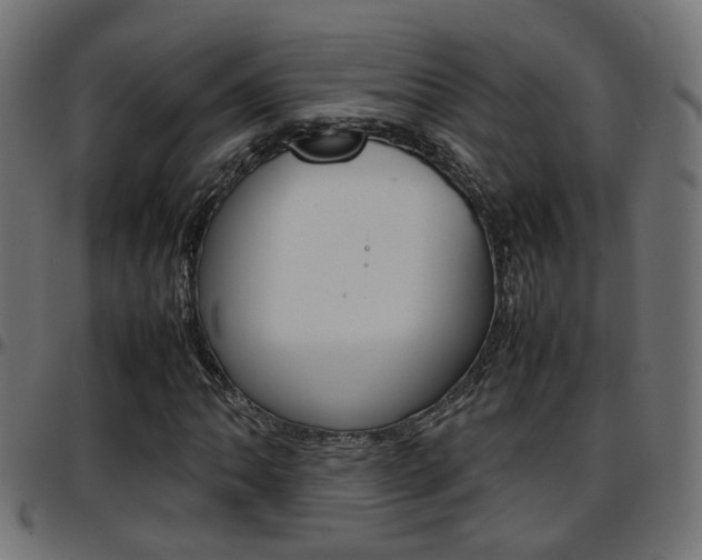 X0000097781062200803070908