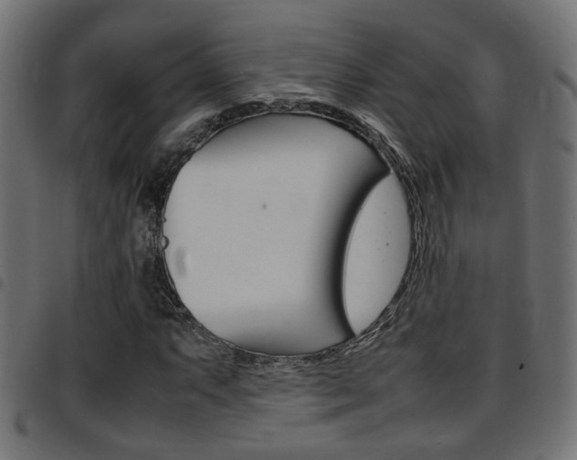 X0000097781063200803070908