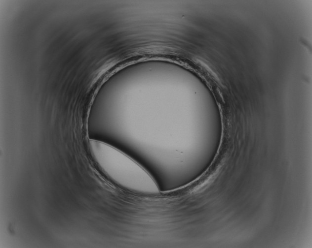 X0000097781065200803070908