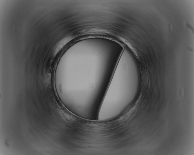 X0000097781066200803070908