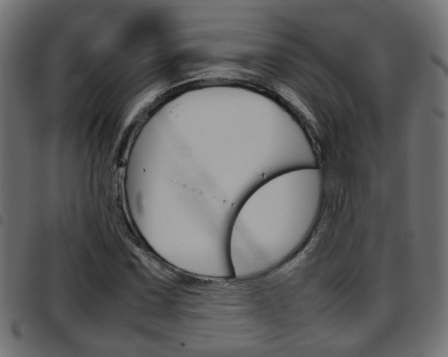 X0000097781067200803070908
