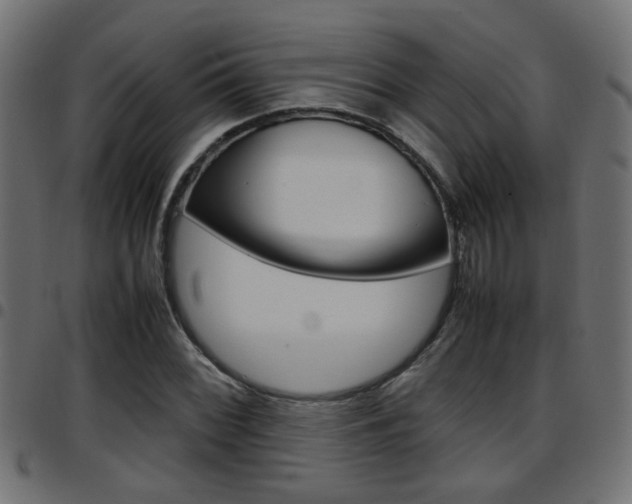 X0000097781068200803070908