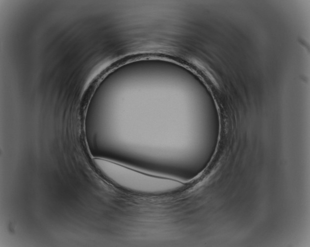X0000097781069200803070908