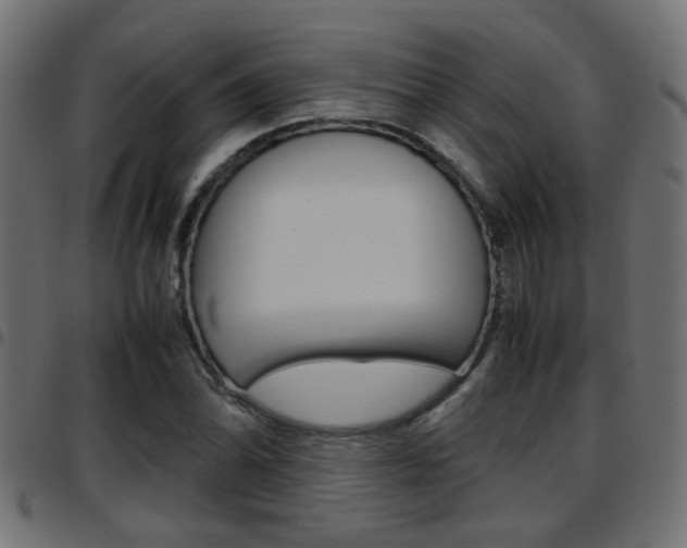 X0000097781070200803070908