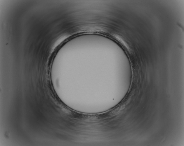 X0000097781071200803070908