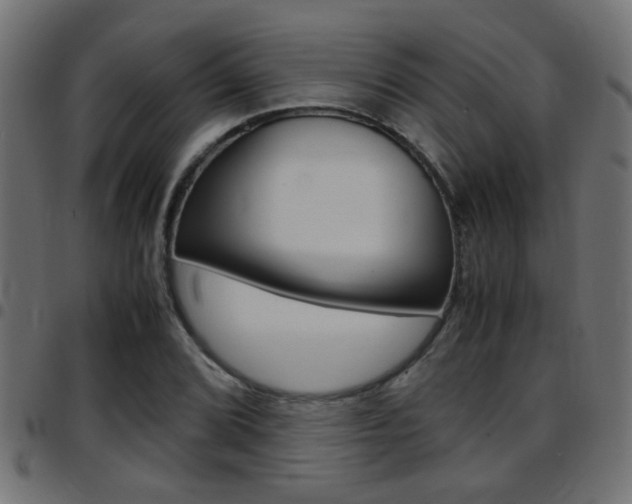 X0000097781072200803070908