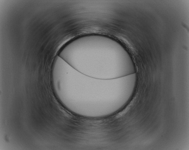 X0000097781073200803070908