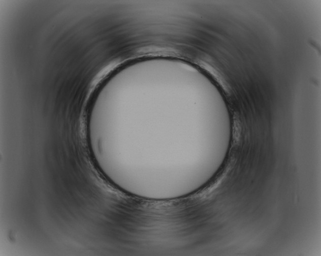 X0000097781074200803070908