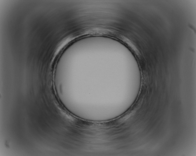 X0000097781075200803070908