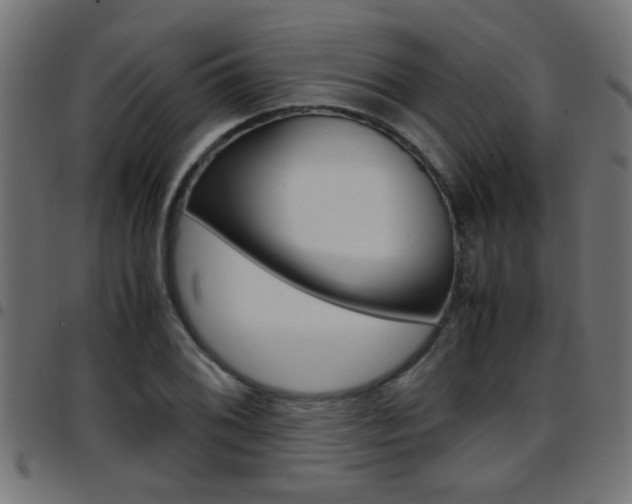 X0000097781076200803070908