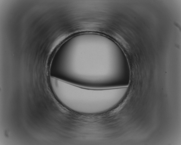 X0000097781077200803070908