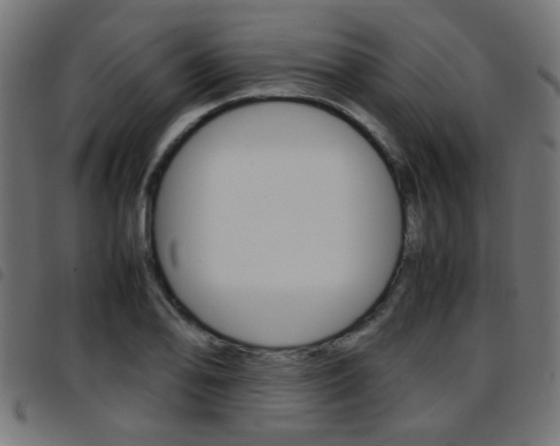 X0000097781078200803070908
