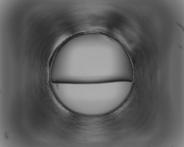 X0000097781079200803070908