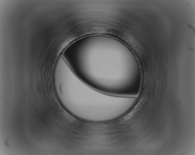 X0000097781081200803070908