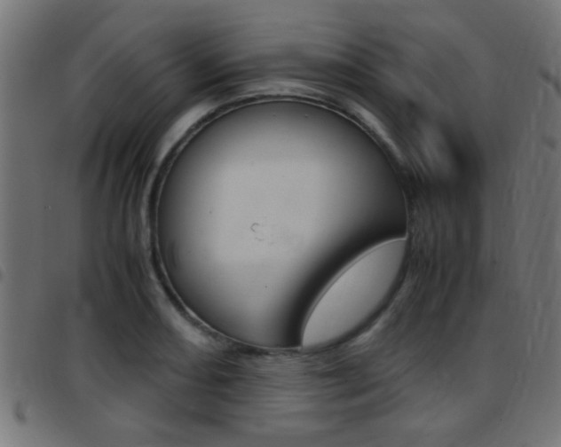X0000097781082200803070908