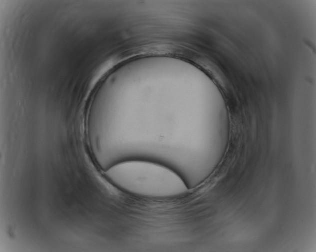 X0000097781083200803070908