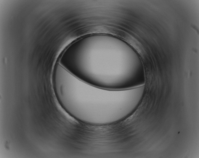X0000097781084200803070908