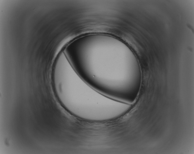 X0000097781085200803070908