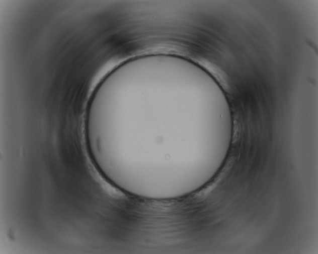 X0000097781086200803070908