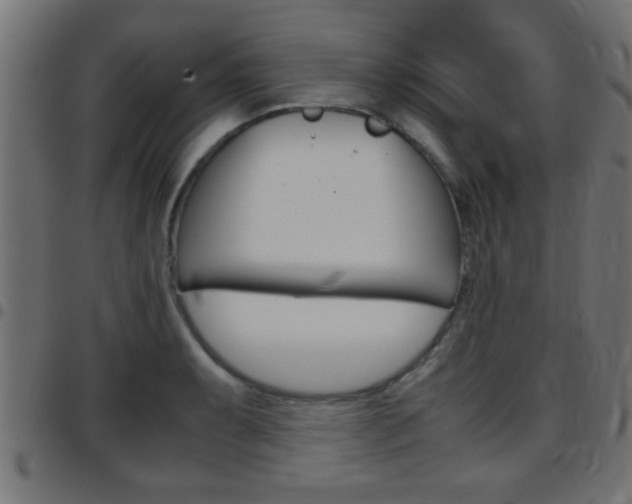 X0000097781087200803070908