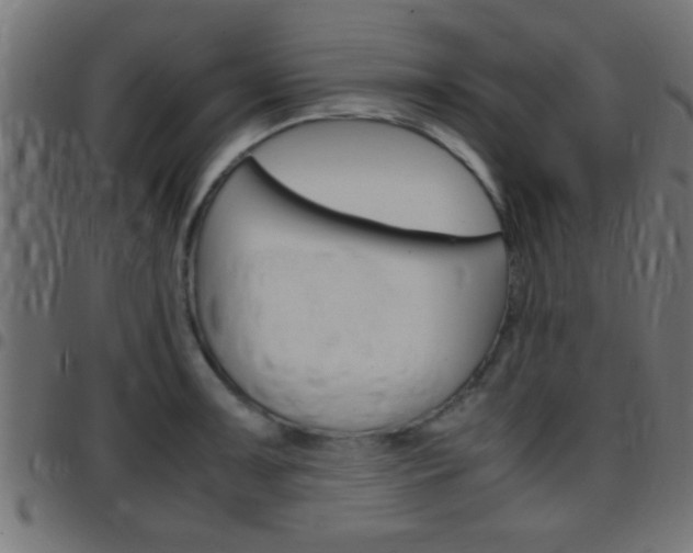 X0000097781091200803070908