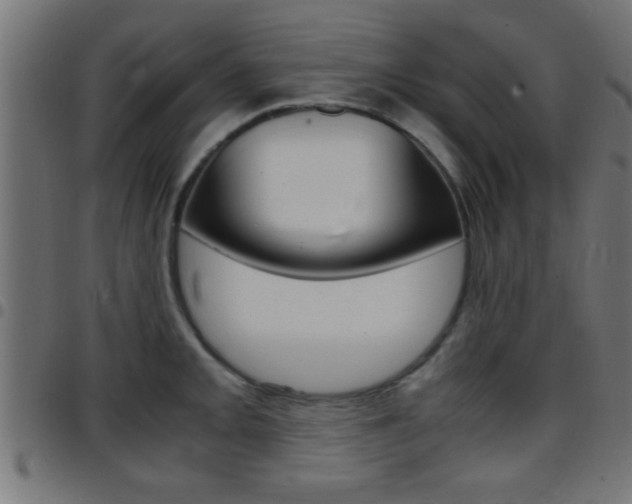 X0000097781093200803070908