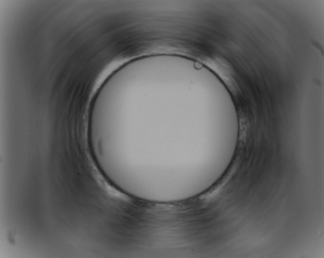 X0000097781094200803070908
