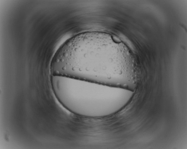 X0000097781095200803070908