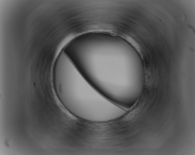 X0000097781096200803070908
