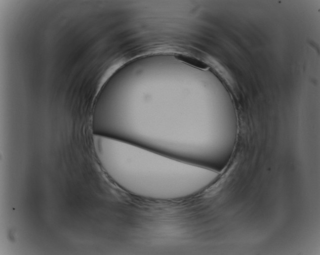 X0000097781097200803070908