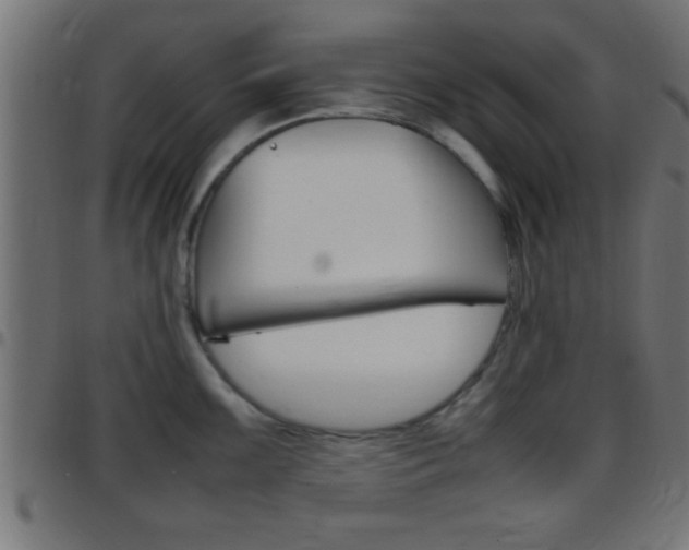 X0000097781099200803070908