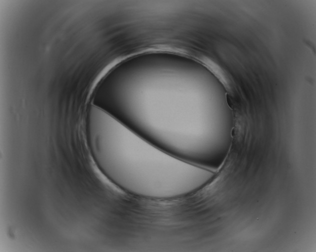 X0000097781100200803070908