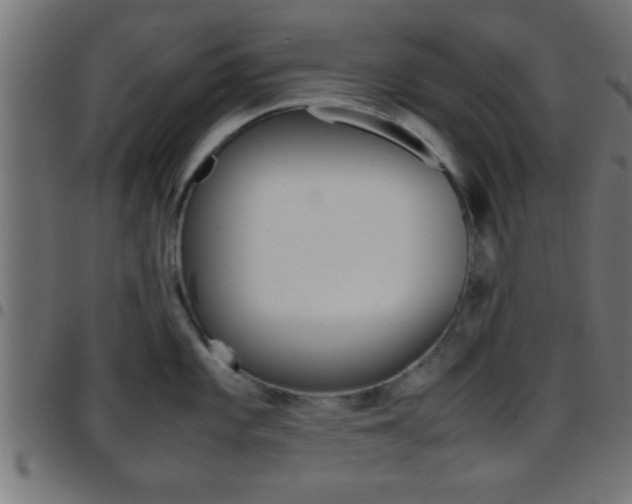 X0000097781101200803070908