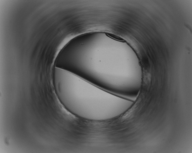 X0000097781102200803070908