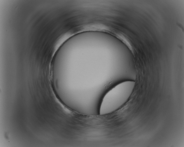 X0000097781103200803070908