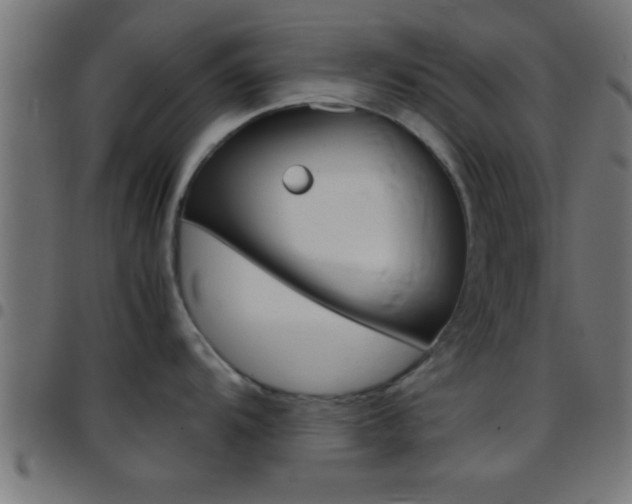 X0000097781104200803070908