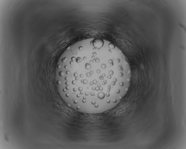 X0000097781105200803070907